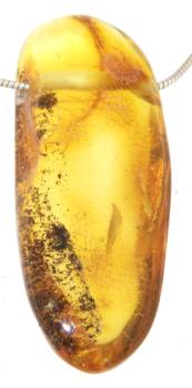 bernstein-anhaenger-edelstein-heilstein-schmuck-anhaenger-gebohrt