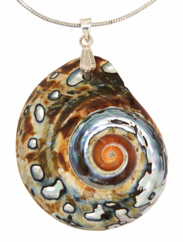 muschel-trommelstein-edelstein-anhaenger-trommelstein-schmuck-edelsteinschmuck muschel-trommelstein-edelstein-anhaenger-trommelstein-schmuck-edelsteinschmuck