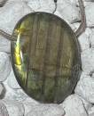 labradorit-anhaenger-edelstein-heilstein-schmuck-trommelstein